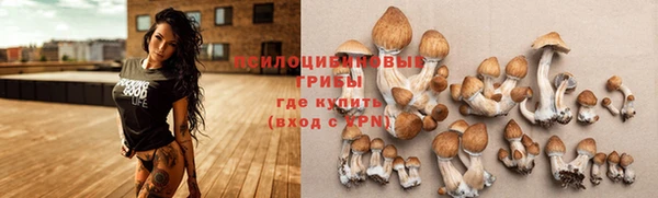 шишки Алексин
