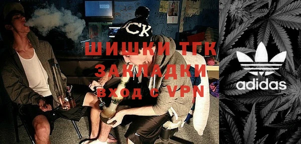 шишки Алексин