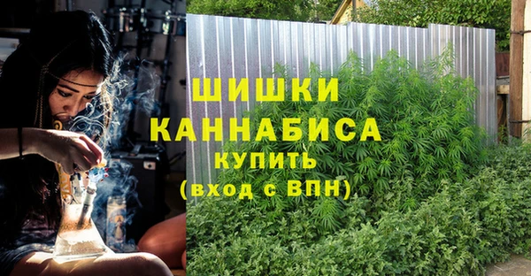 шишки Алексин