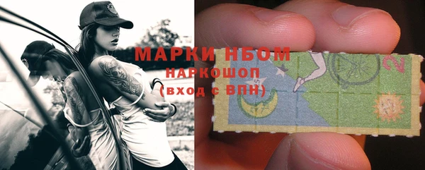 шишки Алексин