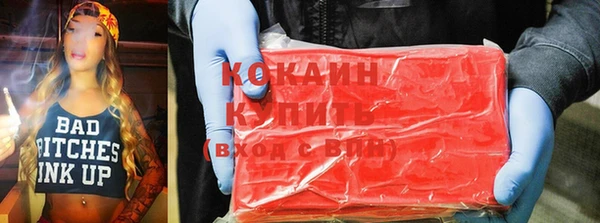 шишки Алексин