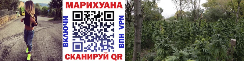 Канабис конопля Балашов